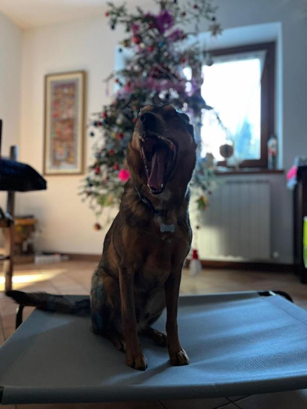 Zeus Foto 4
